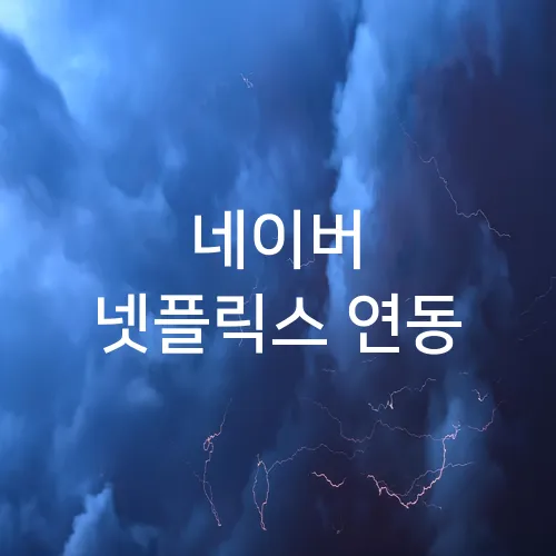 네이버 넷플릭스 연동