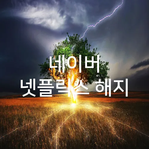 네이버 넷플릭스 해지