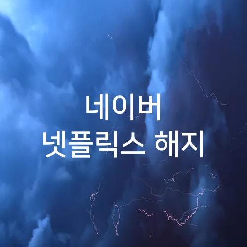 네이버 넷플릭스 해지