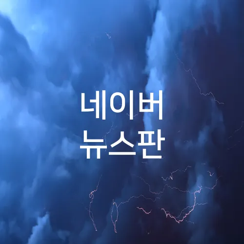 네이버 뉴스판