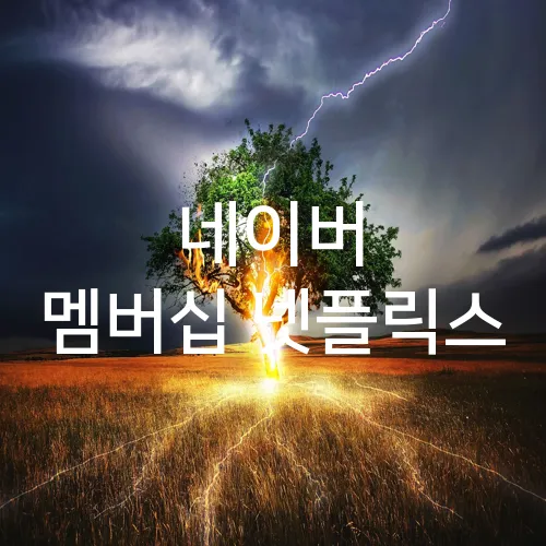 네이버 멤버십 넷플릭스