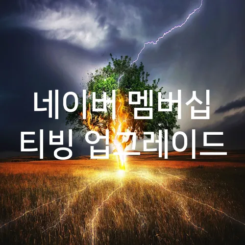 네이버 멤버십 티빙 업그레이드