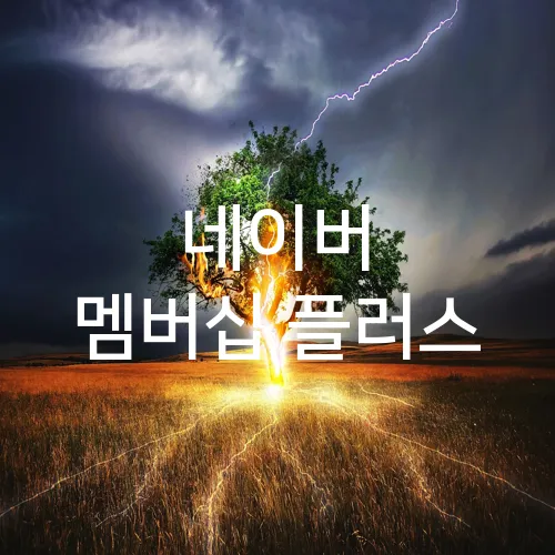 네이버 멤버십 플러스