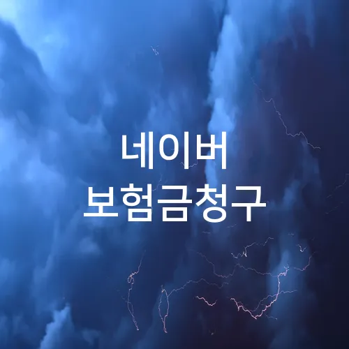 네이버 보험금청구