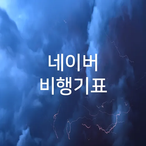 네이버 비행기표
