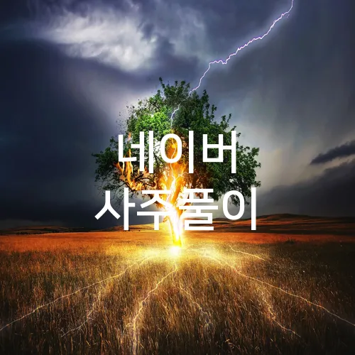 네이버 사주풀이