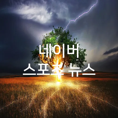 네이버 스포츠 뉴스