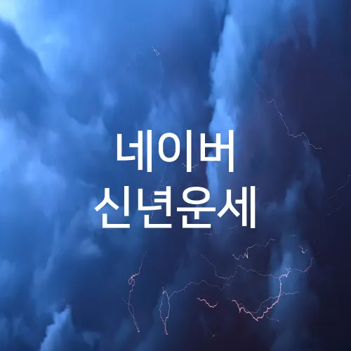 네이버 신년운세