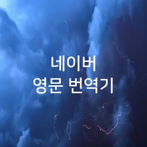 네이버 영문 번역기