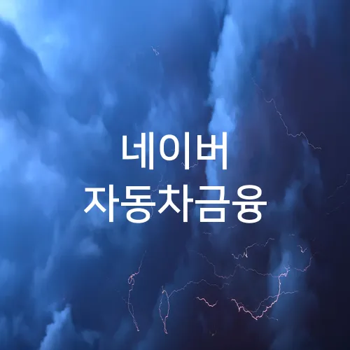 네이버 자동차금융