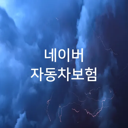 네이버 자동차보험