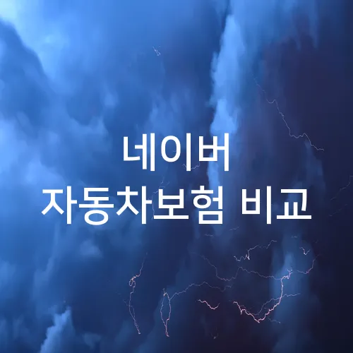 네이버 자동차보험 비교