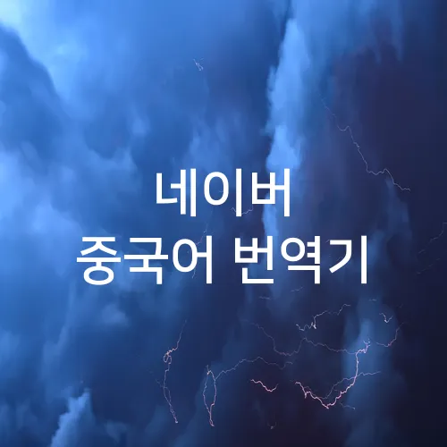네이버 중국어 번역기
