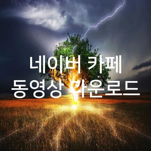 네이버 카페 동영상 다운로드