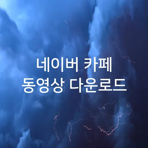 네이버 카페 동영상 다운로드
