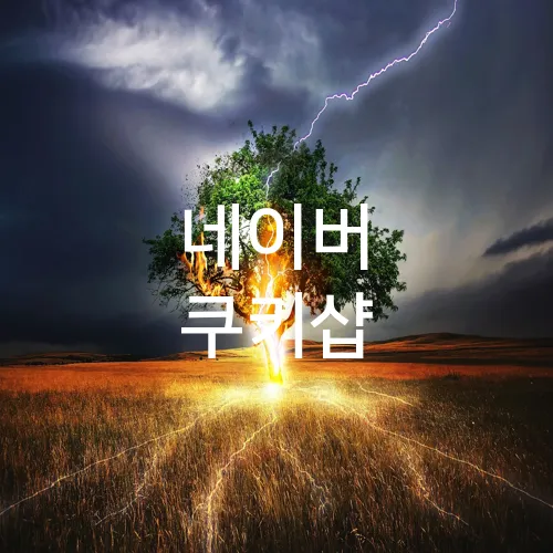 네이버 쿠키샵