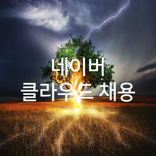 네이버 클라우드 채용