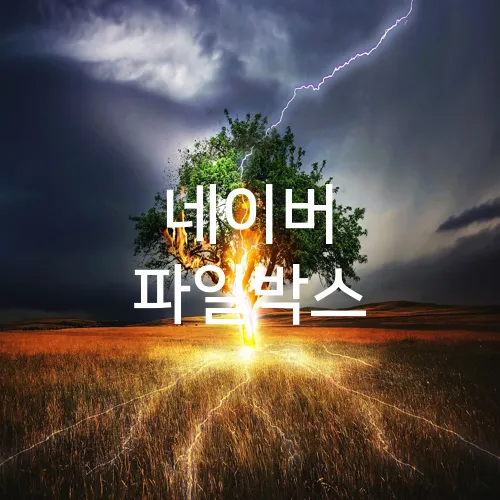 네이버 파일박스