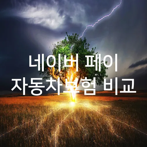 네이버 페이 자동차보험 비교