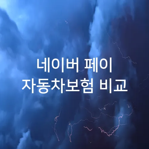네이버 페이 자동차보험 비교