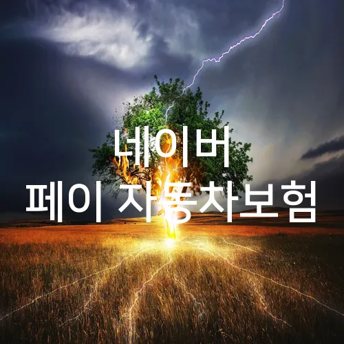 네이버 페이 자동차보험