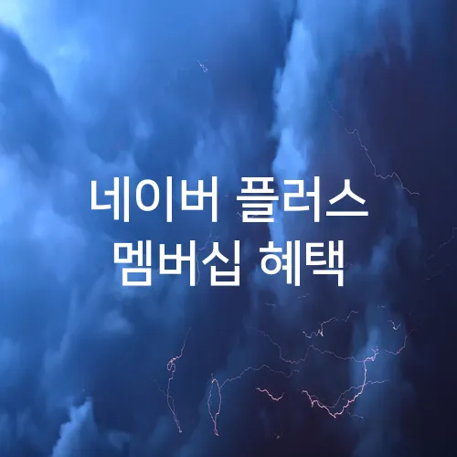 네이버 플러스 멤버십 혜택