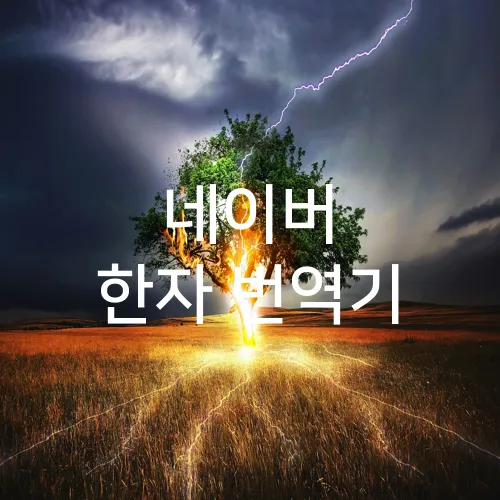 네이버 한자 번역기