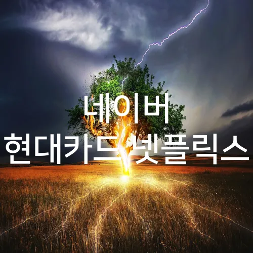 네이버 현대카드 넷플릭스