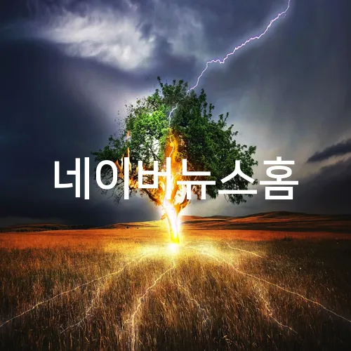 네이버뉴스홈