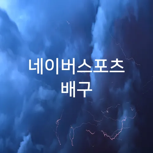 네이버스포츠 배구