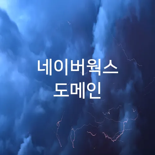 네이버웍스 도메인