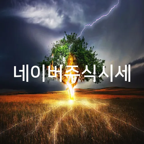 네이버주식시세
