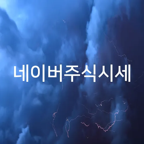 네이버주식시세
