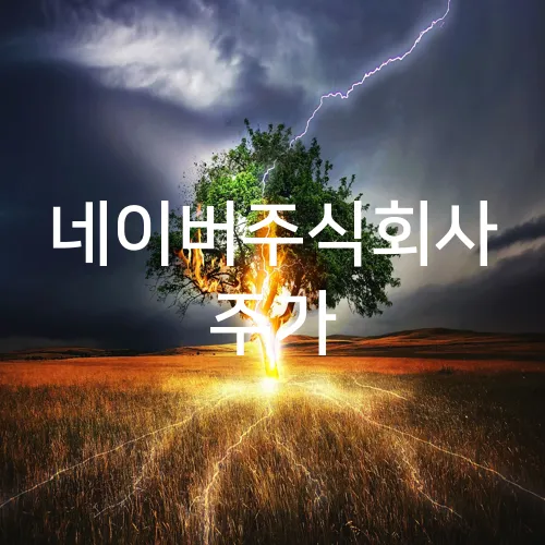 네이버주식회사 주가