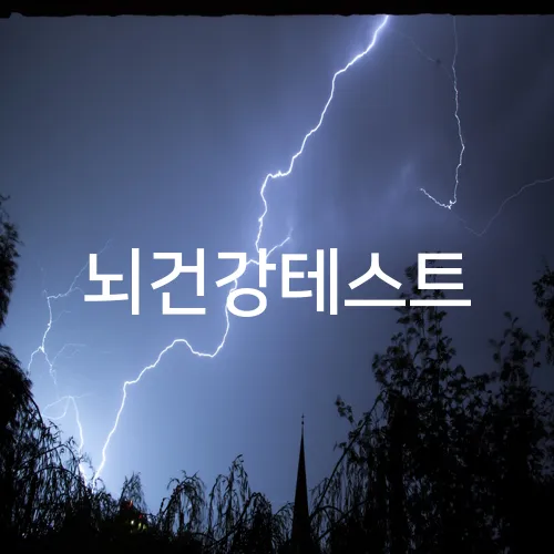 뇌건강테스트