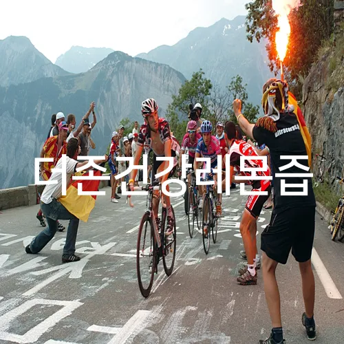 더존건강레몬즙