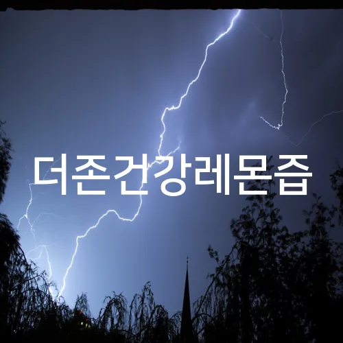 더존건강레몬즙