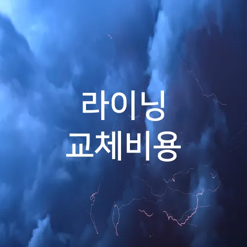 라이닝 교체비용