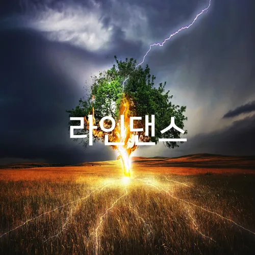 라인댄스