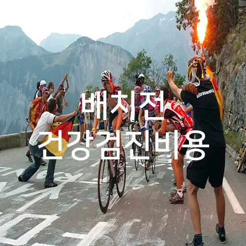 배치전 건강검진비용