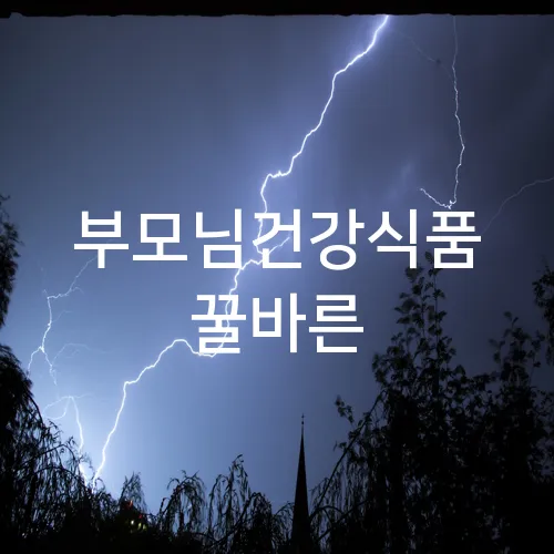 부모님건강식품 꿀바른