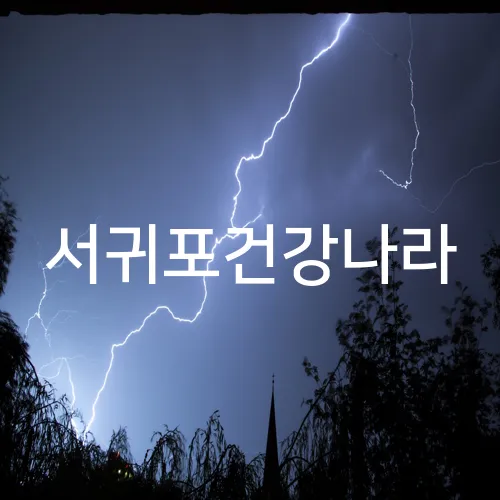 서귀포건강나라