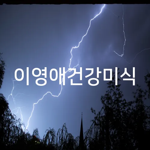 이영애건강미식