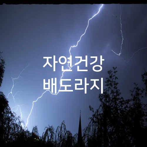 자연건강 배도라지