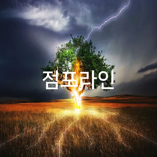 점포라인