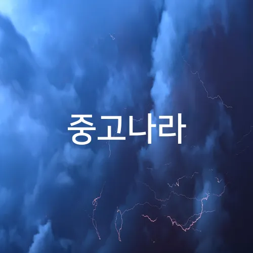 중고나라