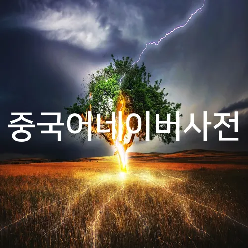 중국어네이버사전