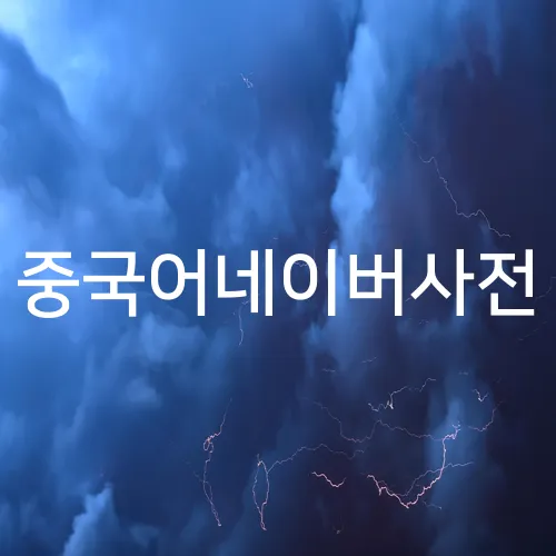 중국어네이버사전