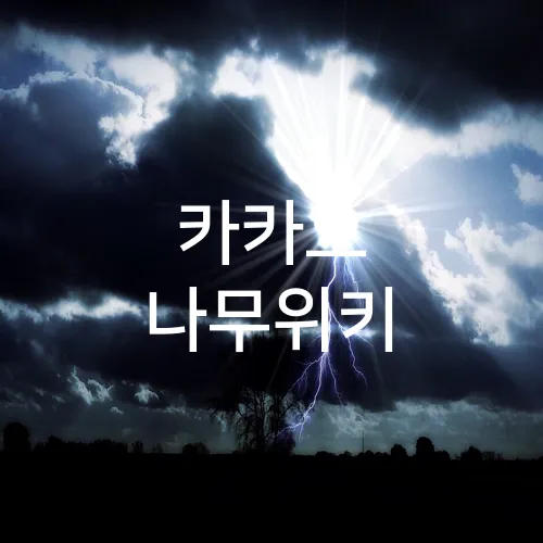카카오 나무위키