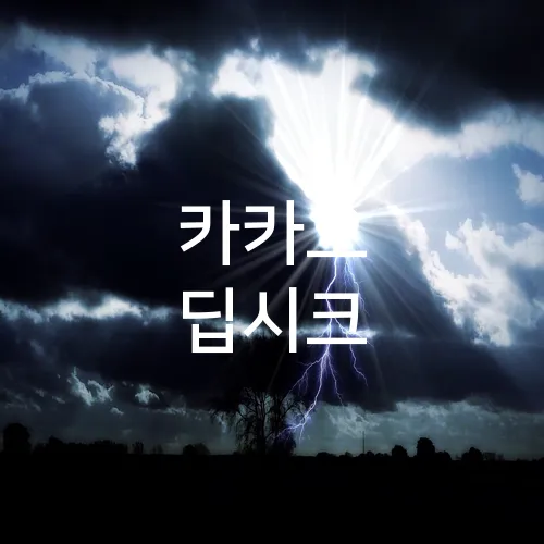 카카오 딥시크